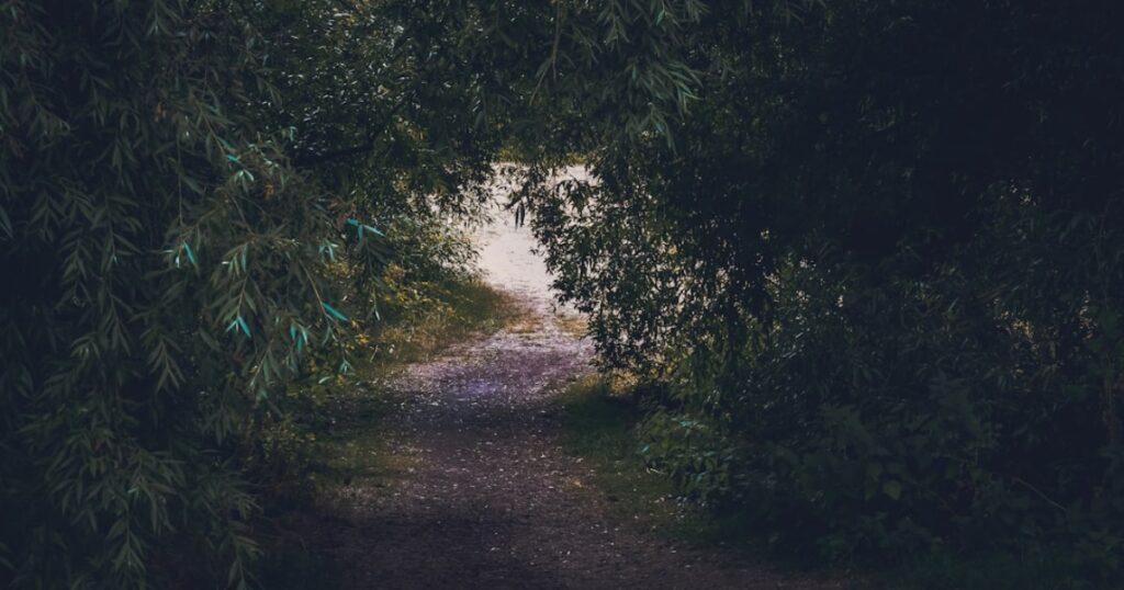 Discovering Yourself: The Panmal Way